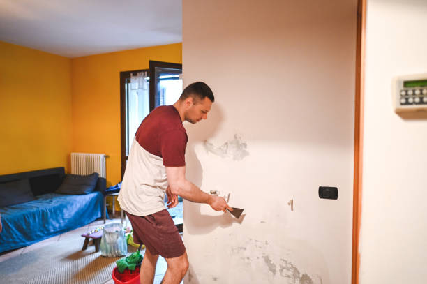 Best Crawl Space Mold Removal  in Boutte, LA